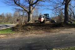 Grading for Turf Restore