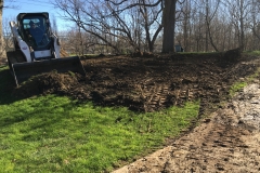 Turf Restoration