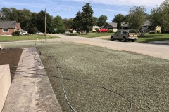 Front Lawn Seeded