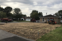 Front Yard Turf Restoration