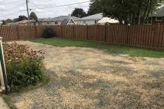 Rear Yard Turf Restoration