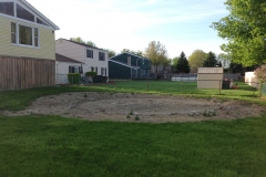 Back Yard Restoration