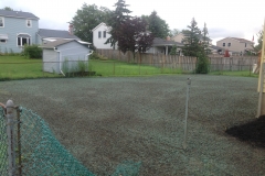 Rear Yard Lawn After