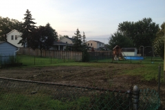 Rear Yard Lawn Before