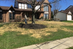 Front Yard Lawn Repair