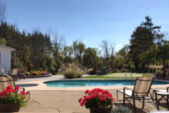 Rear Yard Pool Area & Patio