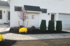 Side Walk with Landscape