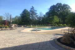 Pool Landscape