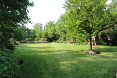 Back Yard Setting
