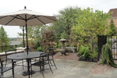 Backyard Outdoor Dining