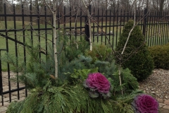 Winter Potted Arrangement 4