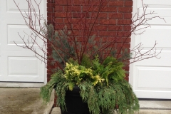 Winter Potted Arrangement 2