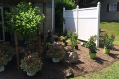 Building Beds / Placing Plants