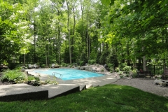 Natural Pool Setting