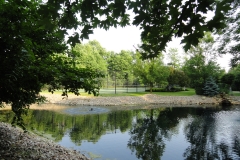 Pond 1