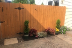 Placing Plants