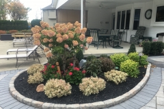 Planting Island