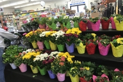 Easter Flowers