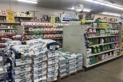 Inside the Store