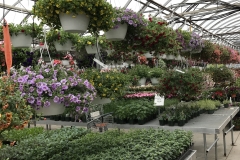 Greenhouse