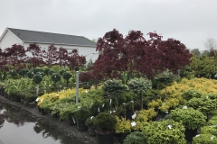 Yard Inventory