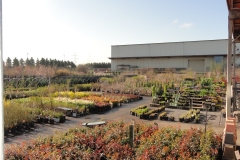 Plant Material 2