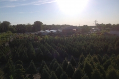 Arial Yard Picture