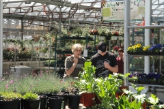 Green House Assistance
