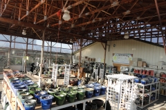Nursery Potting