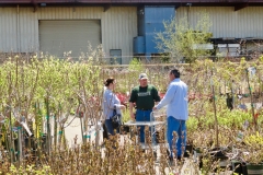 Nursery Manager